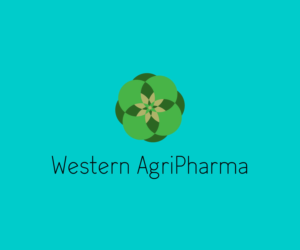 Logo Design by nico.daunt