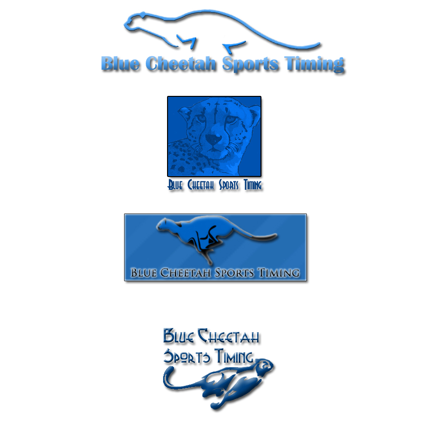 Logo Design by Storm4532 for this project | Design #563133