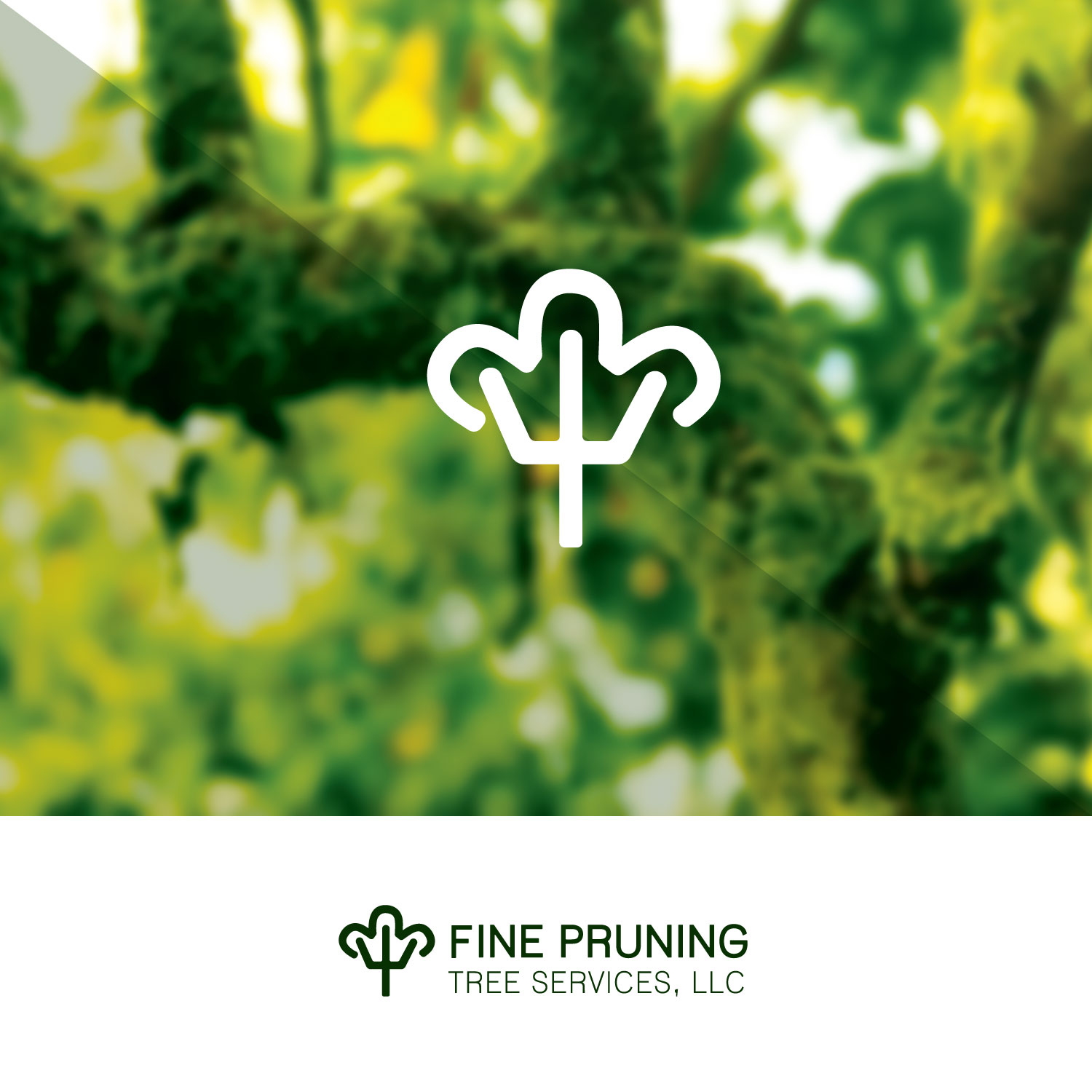 Logo Design by Alexandra S. for Fine Pruning Tree Services, LLC | Design #14826733