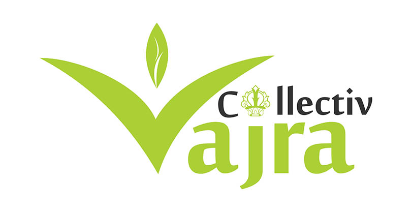 Logo Design by songadam08 for Vajra Collective | Design #14703821