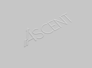 Logo Design by fidan_nabiyeva-jw for Real Intent | Design: #14674550