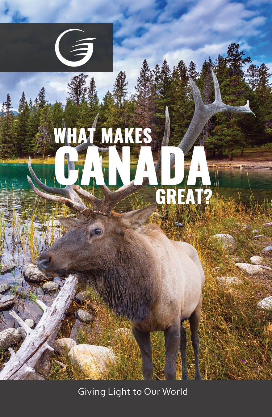 Flyer Design by SURYA for Lifestyle Canada | Design #14709121