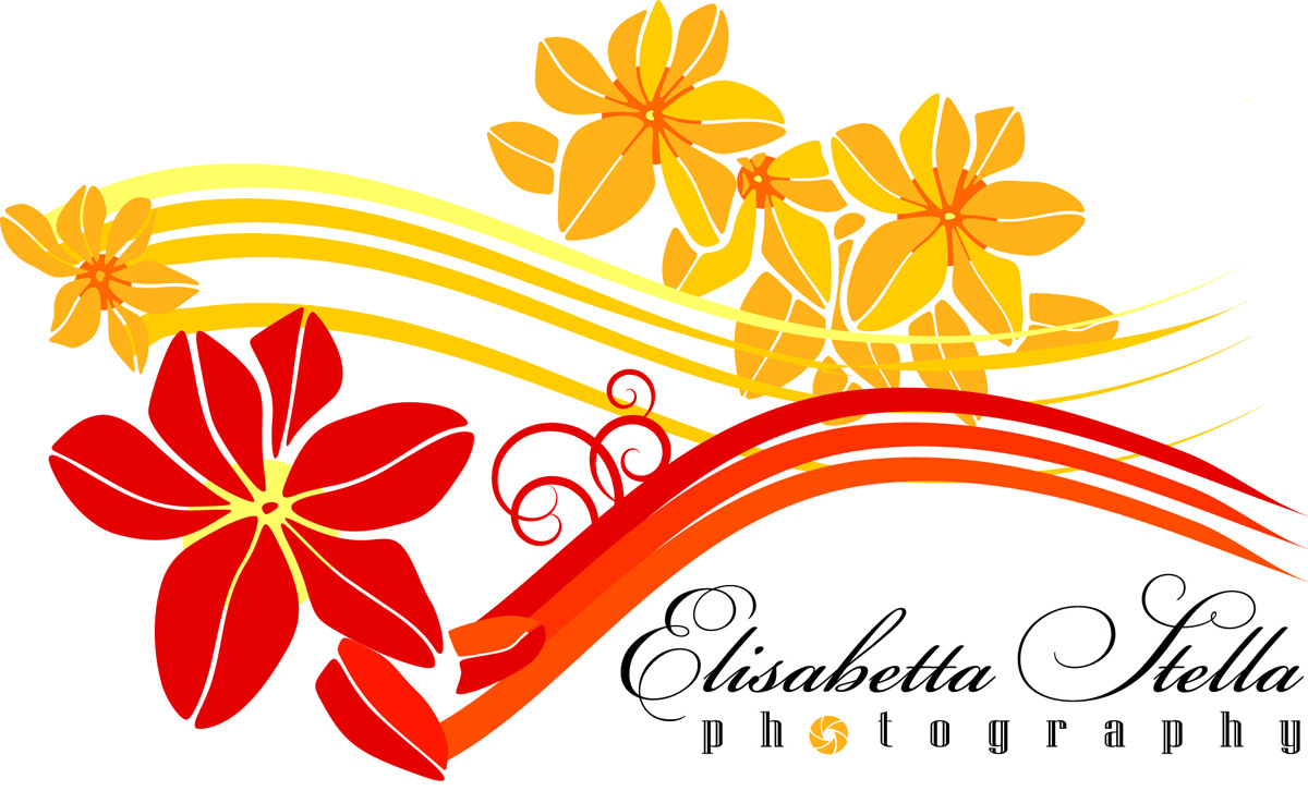 Logo Design by Ronaldo CS for this project | Design #2558339