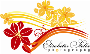 Logo Design by Ronaldo CS