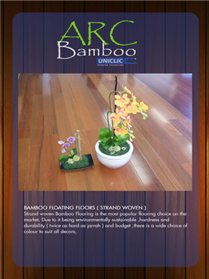 Diseño de Brochure por James Sylvester para AAA.Professional Floors | Diseño: #574877