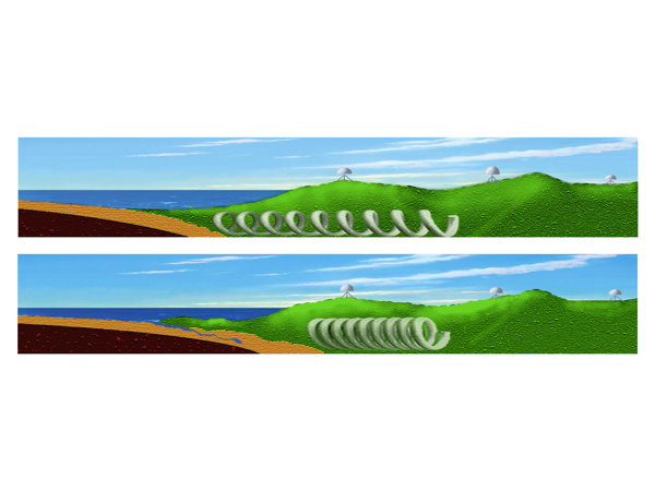 Illustration Design by Grace A for Studio Tectonic | Design #2560078