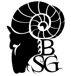 Logo Design by VirtualDesignStudios