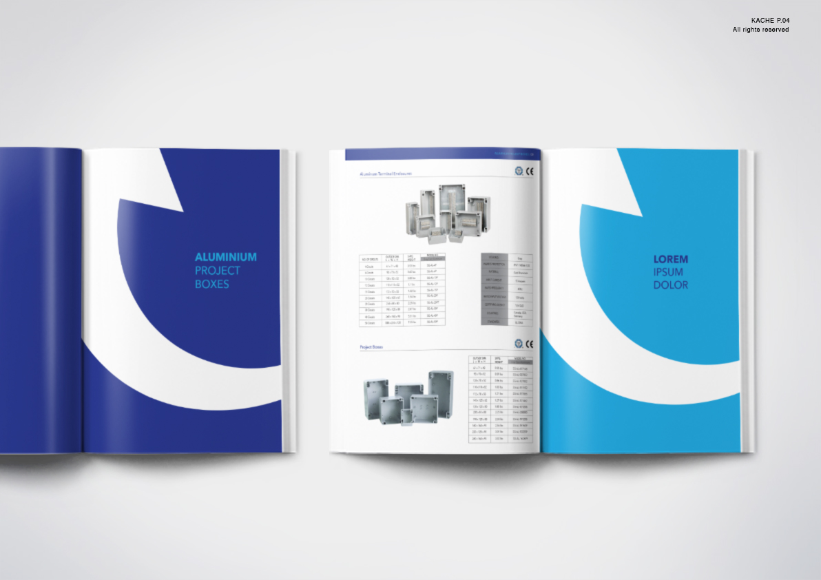 Design de Catalogue par typo grain pour Lite Cycle LLC | Design #14720045
