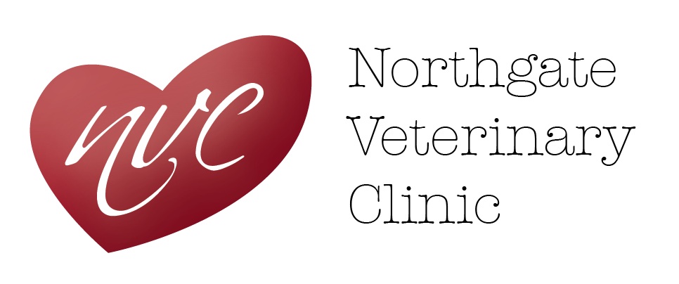 Logo Design by Raquel Roldan for this project | Design #2555023