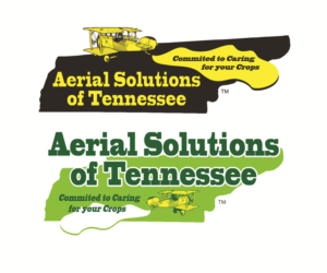 Logo Design by Hot Rod