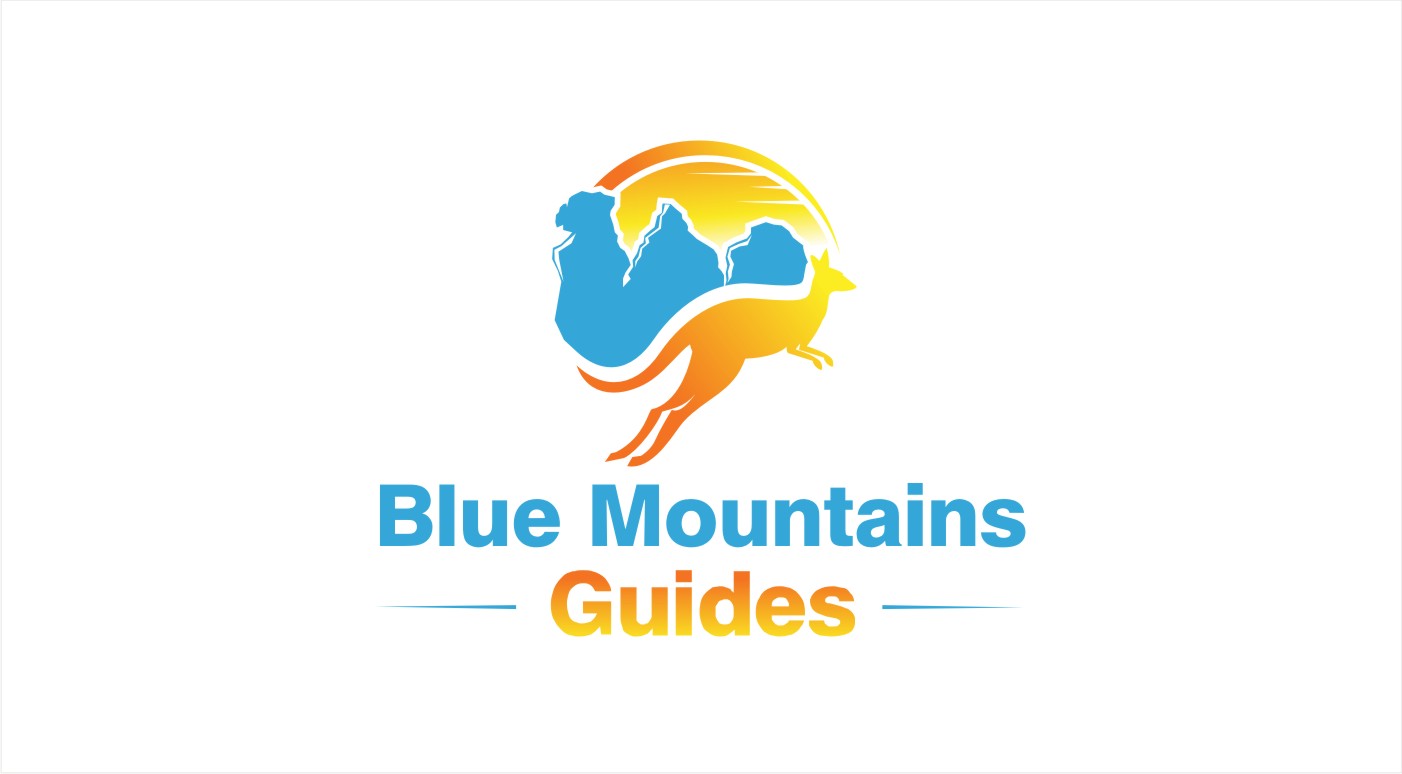 Diseño de Logo por Soul Light para este proyecto | Diseño #14696983