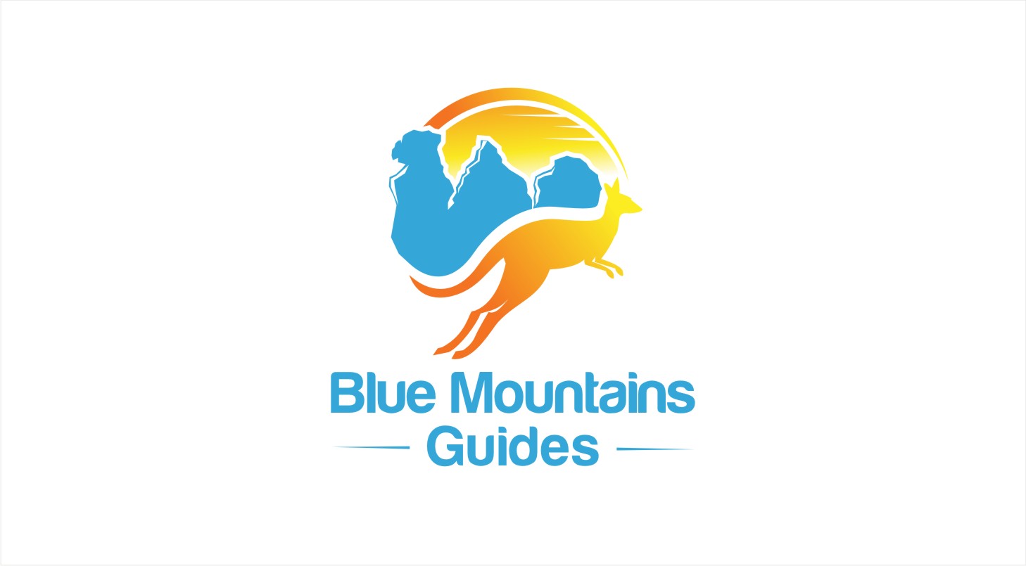 Diseño de Logo por Soul Light para este proyecto | Diseño #14697834