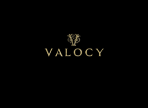Logo Design by EMA for VALOCY | Design #14715060