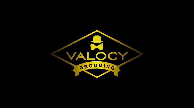 Logo Design by pa2pat for VALOCY | Design #14693499