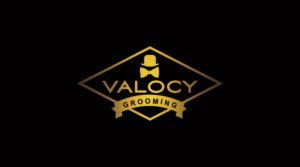 Logo Design by pa2pat for VALOCY | Design #14693499