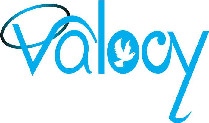 Logo Design by graftexbd for VALOCY | Design #14776750