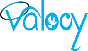 Logo Design by graftexbd for VALOCY | Design: #14776750