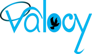 Logo Design by graftexbd for VALOCY | Design: #14776895