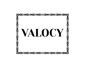 Logo Design by isabel.paoli for VALOCY | Design: #14699711