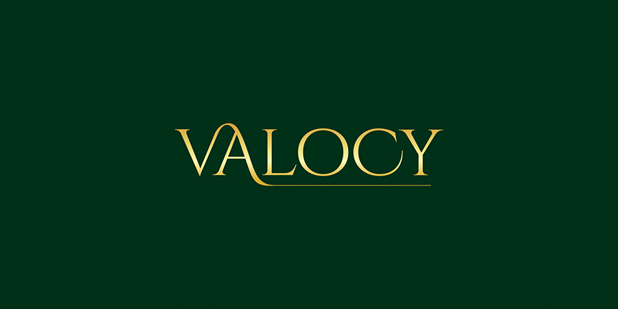 Logo Design by Namita for VALOCY | Design #14725786