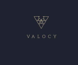 Logo Design by Artknyte for VALOCY | Design: #14717296