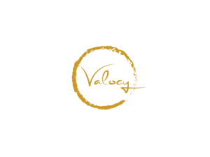 Logo Design by ART Libery for VALOCY | Design: #14695714