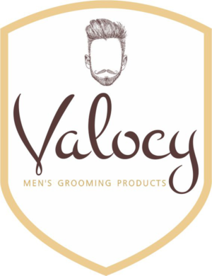 Logo Design by neetuindia for VALOCY | Design: #14730460