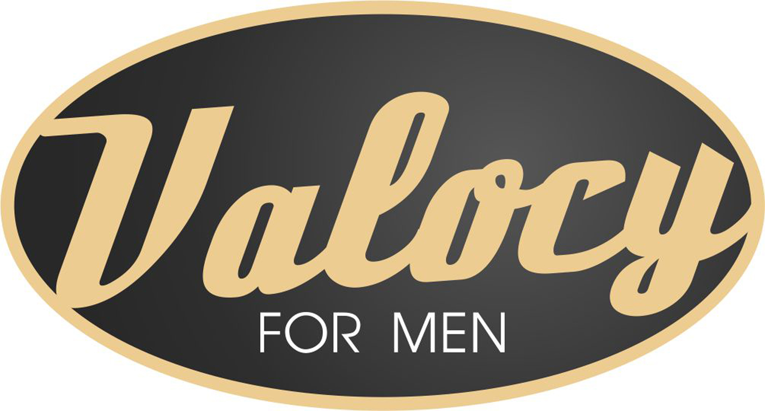 Logo Design by neetuindia for VALOCY | Design #14730461