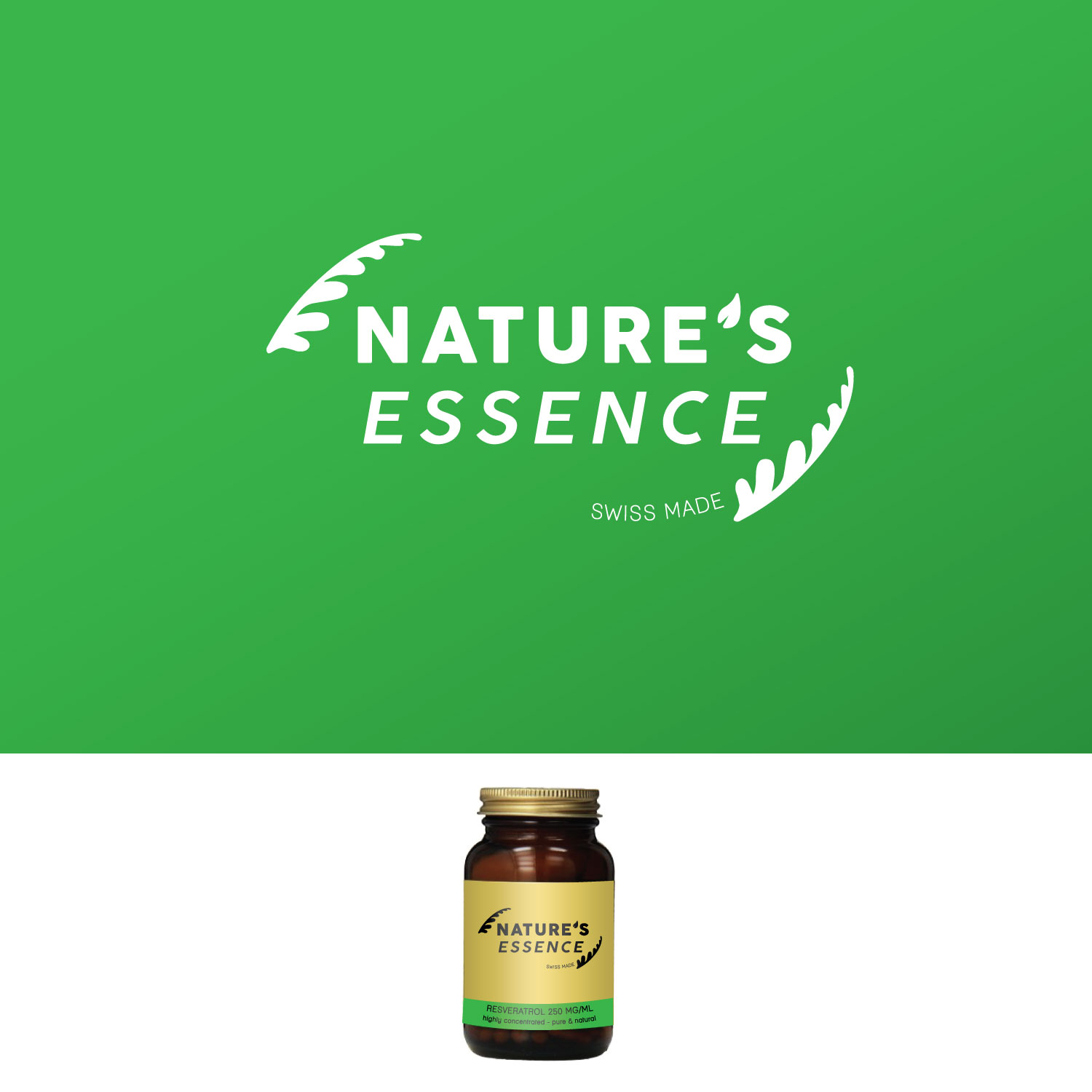 Diseño de Logo por Alexandra S. para BioLingus | Diseño #14936309