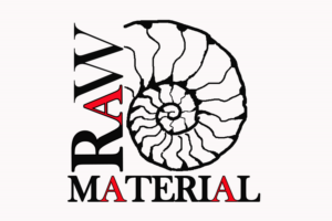 Logo Design by 3dra3gons3