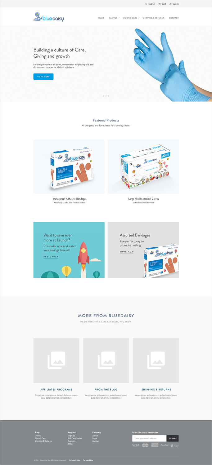 Web Design by WYSIWYG for BlueDaisy, LLC. | Design #14744992