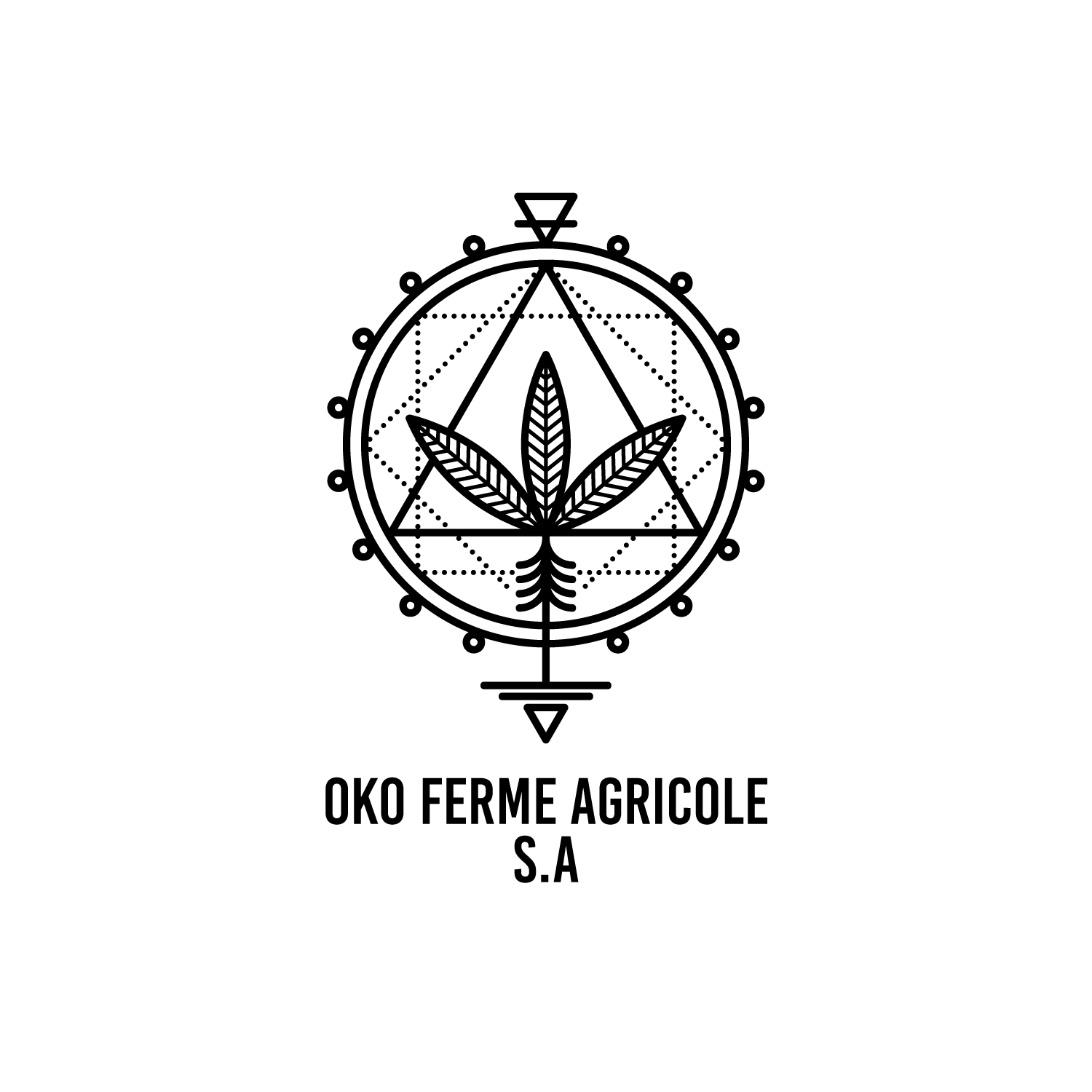 Logo Design by anshtoyj for this project | Design #14737467