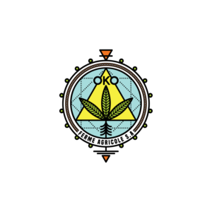 Logo Design by anshtoyj for this project | Design: #14742402