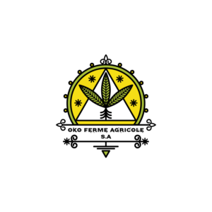 Logo Design by anshtoyj for this project | Design #14748274