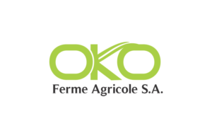 Logo Design by Mikka