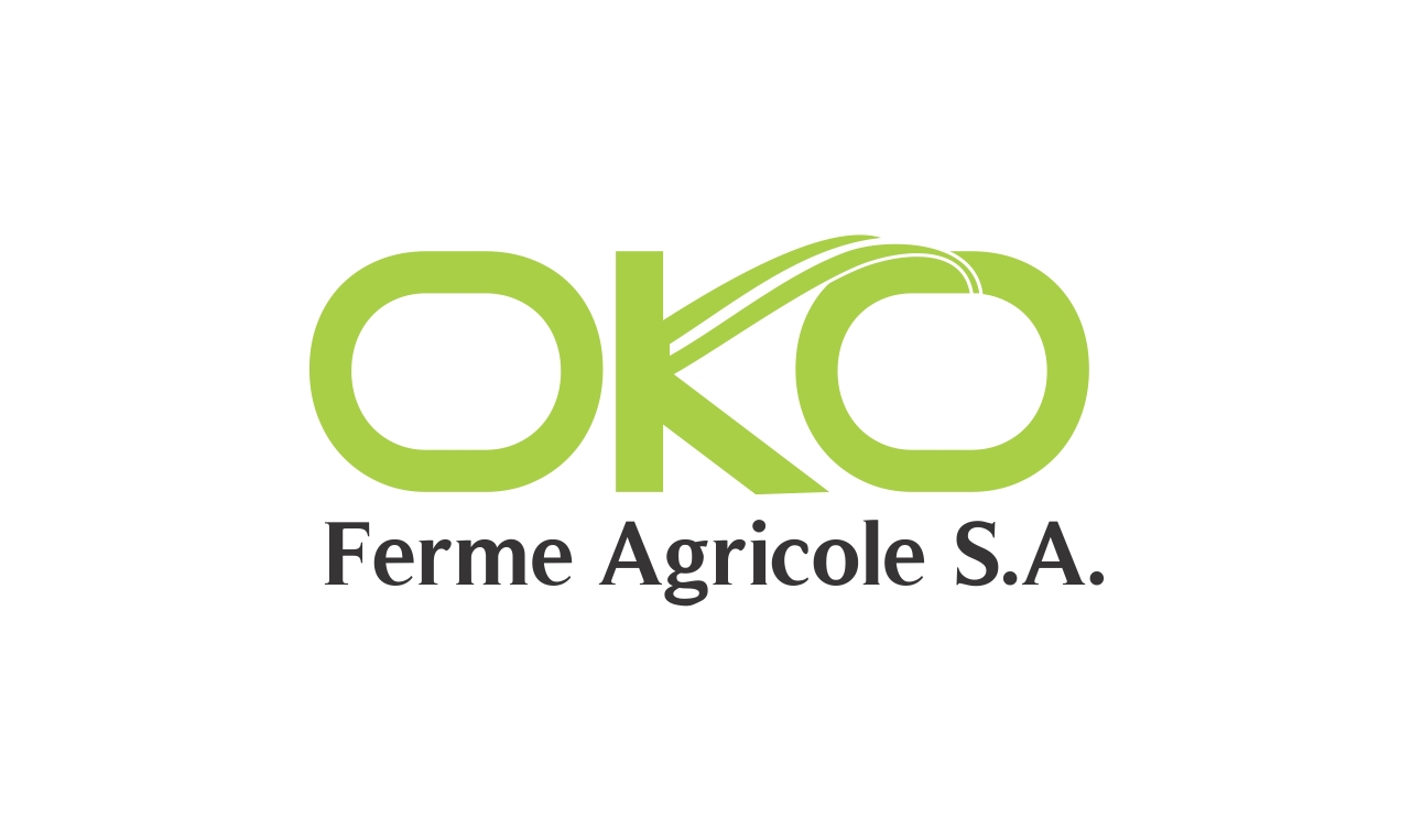 Logo Design by Mikka for this project | Design #14755324