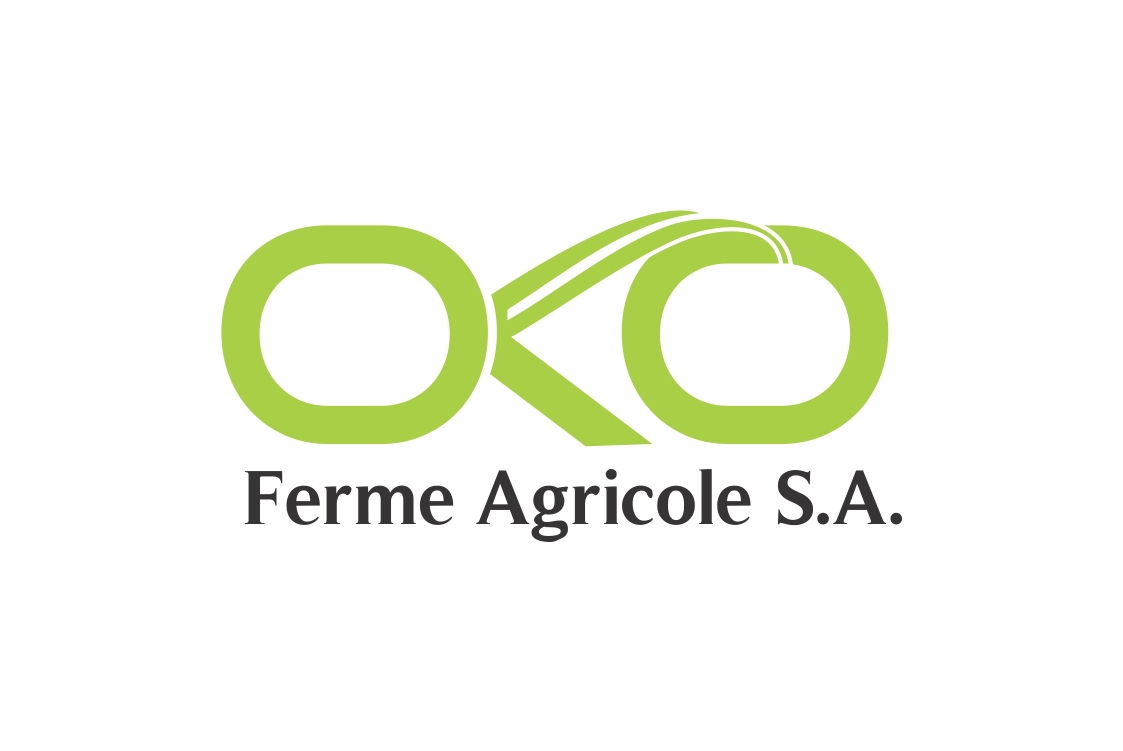 Design de Logo par Mikka pour ce projet | Design #14755325