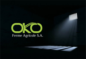 Design de Logo par Mikka pour ce projet | Design : #14760955