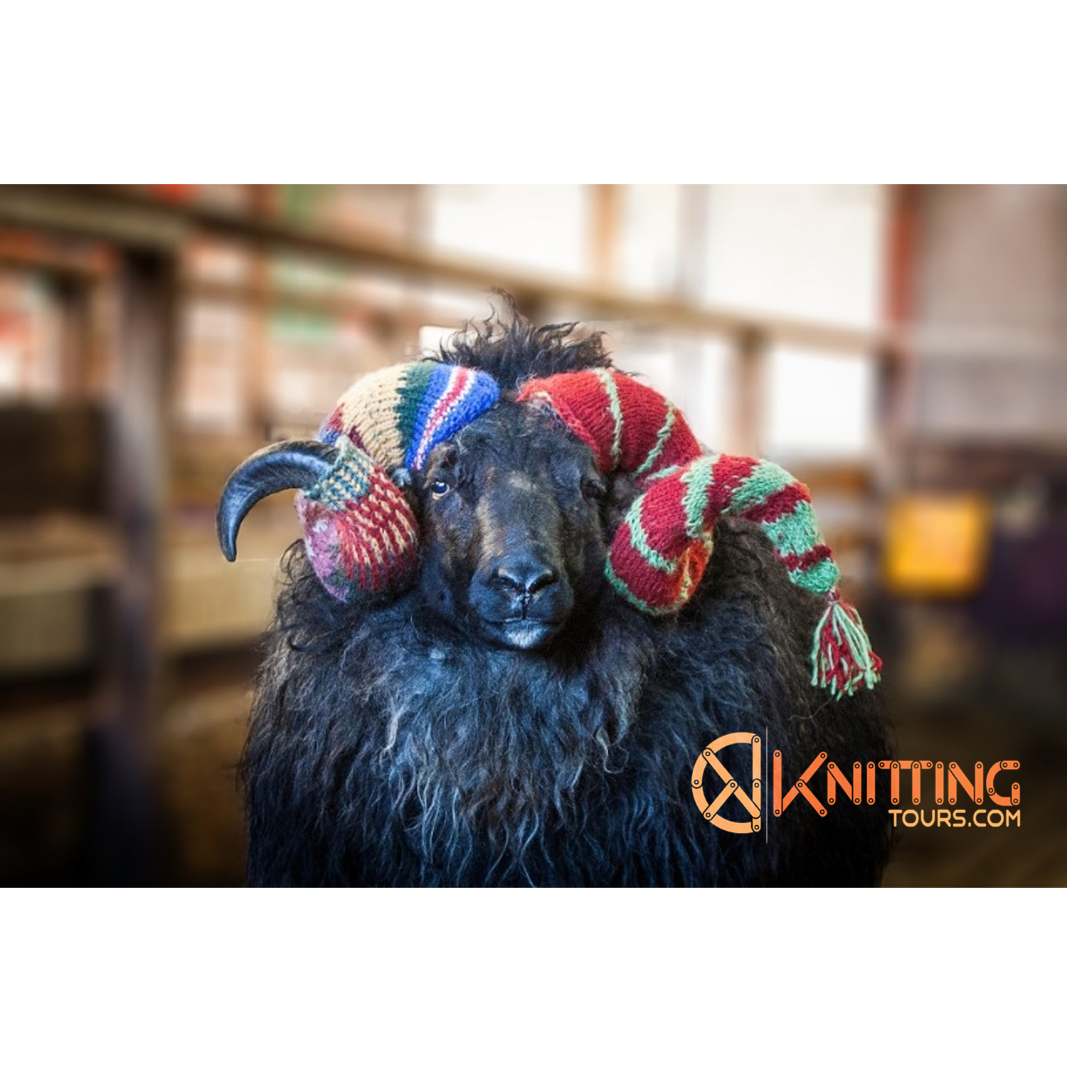 Logo Design by Bamm for this project | Design #14968564