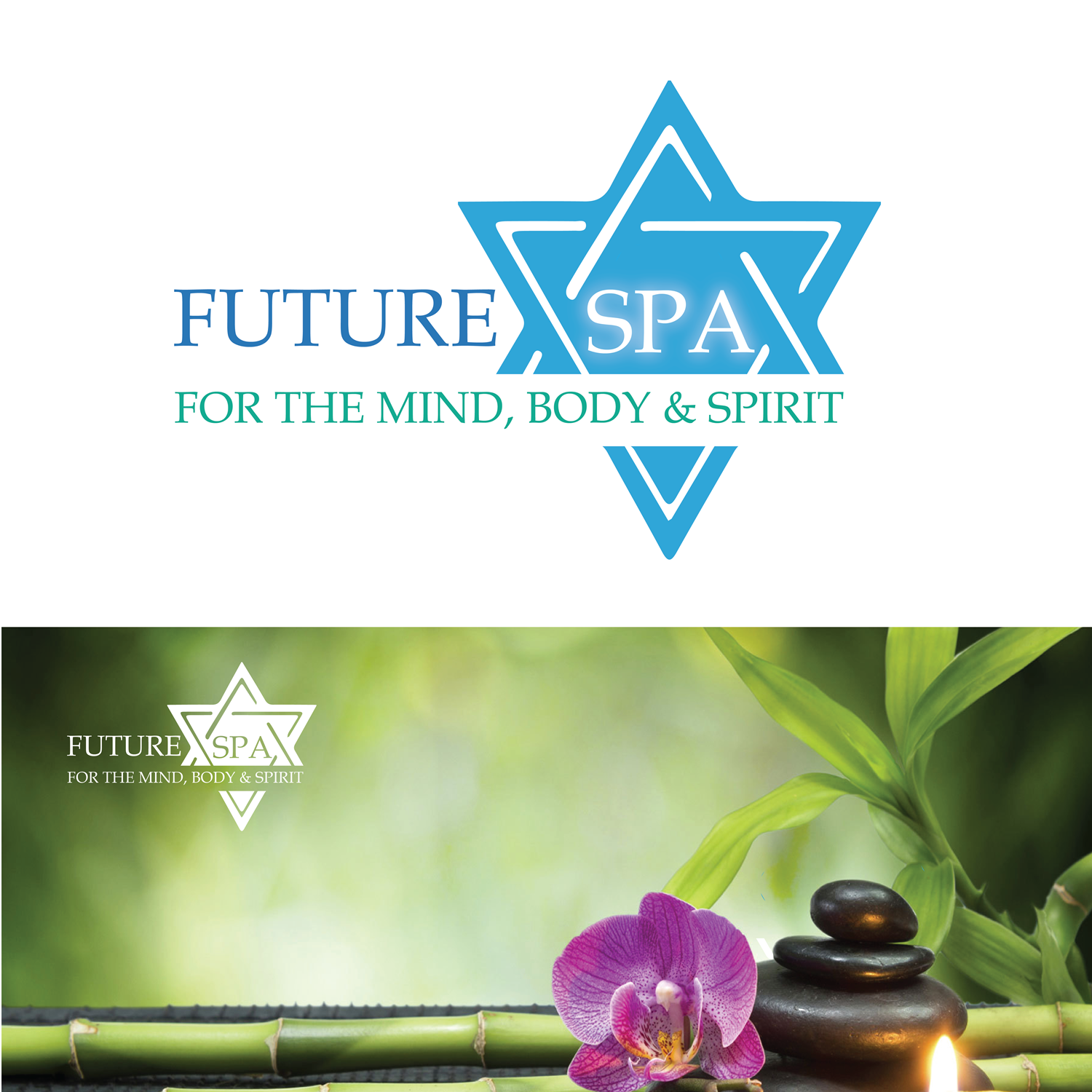 Design de Logo par Butterflyix pour Pandora Star LTD | Design #14729453