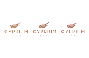 Logo Design by GLDesigns for Sprouts Concepts International Company Limited | Design: #14825283