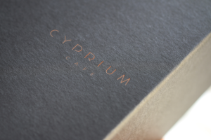 Logo-Design von natmaken für Sprouts Concepts International Company Limited | Design: #14747270