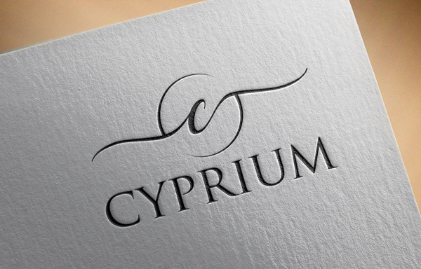 Logo Design by tani_sha321 for Sprouts Concepts International Company Limited | Design #14744257