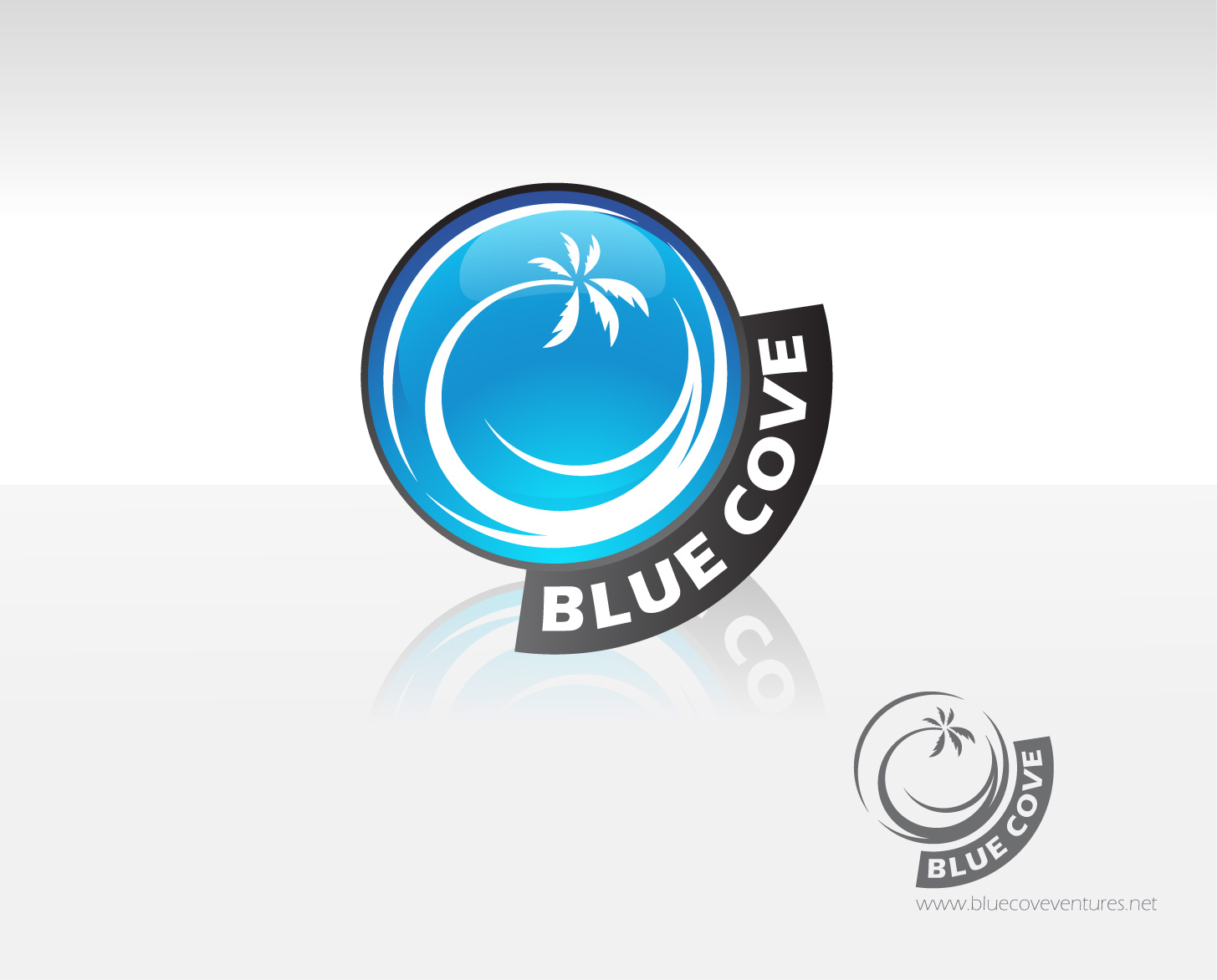 Logo Design by Hamzi Studios for Blue Cove Ventures | Design #36163