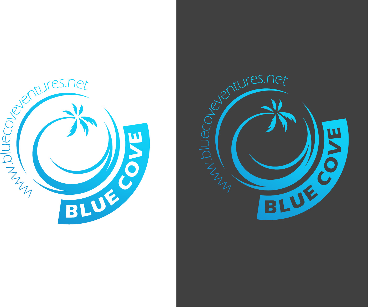 Logo Design by Hamzi Studios for Blue Cove Ventures | Design #36164