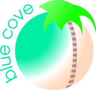 Logo Design by Steven Hall for Blue Cove Ventures | Design #36130