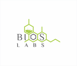 Diseño de Logo por creative.bugs para este proyecto | Diseño: #14735937