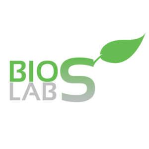 Logo Design by designns