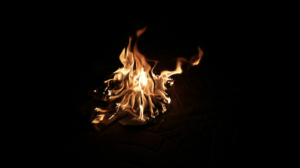 Photography by Nirmal Mehta