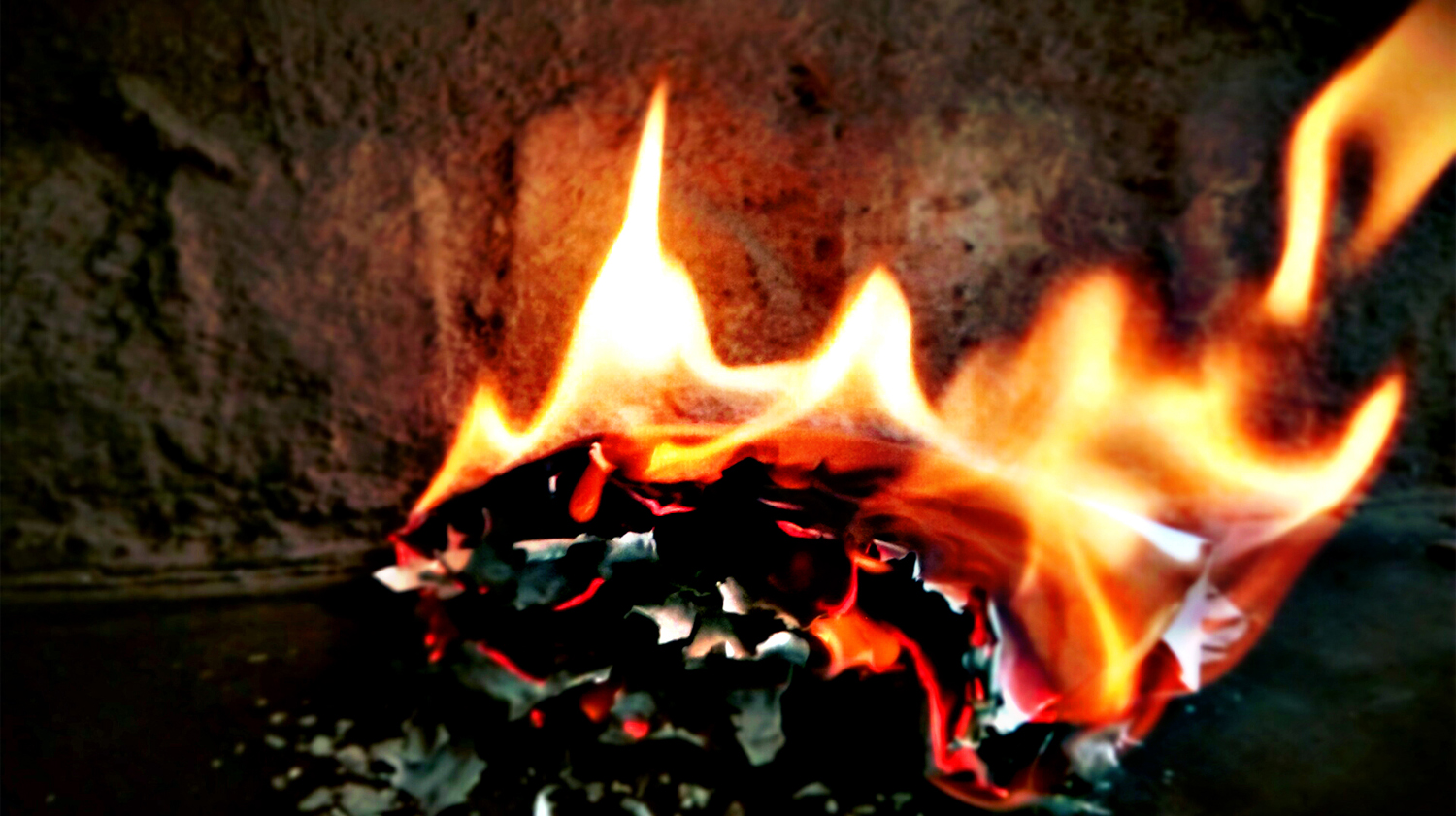 Photography by prabir_99 for DesignCrowd (Community Contests) | Design #14741682